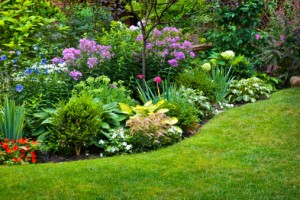 Flower Beds in a Yard