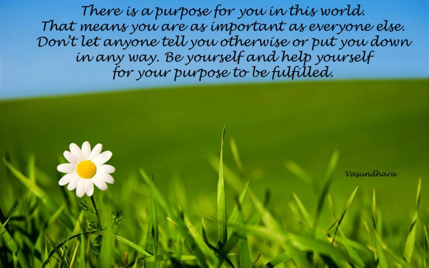 There is a Purpose